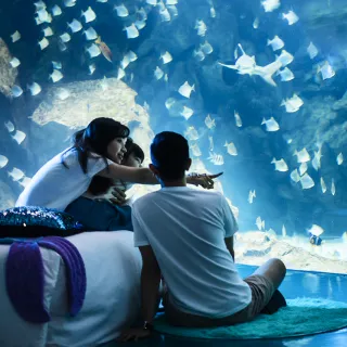 國泰飯店觀光事業｜飯店加盟和飯店經營顧問