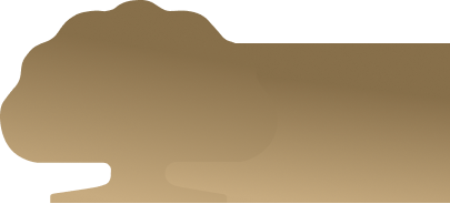 國泰商旅股份有限公司